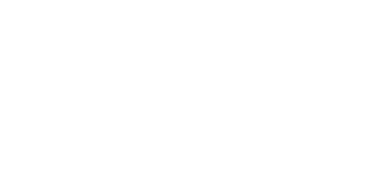 The Pointe at WYO